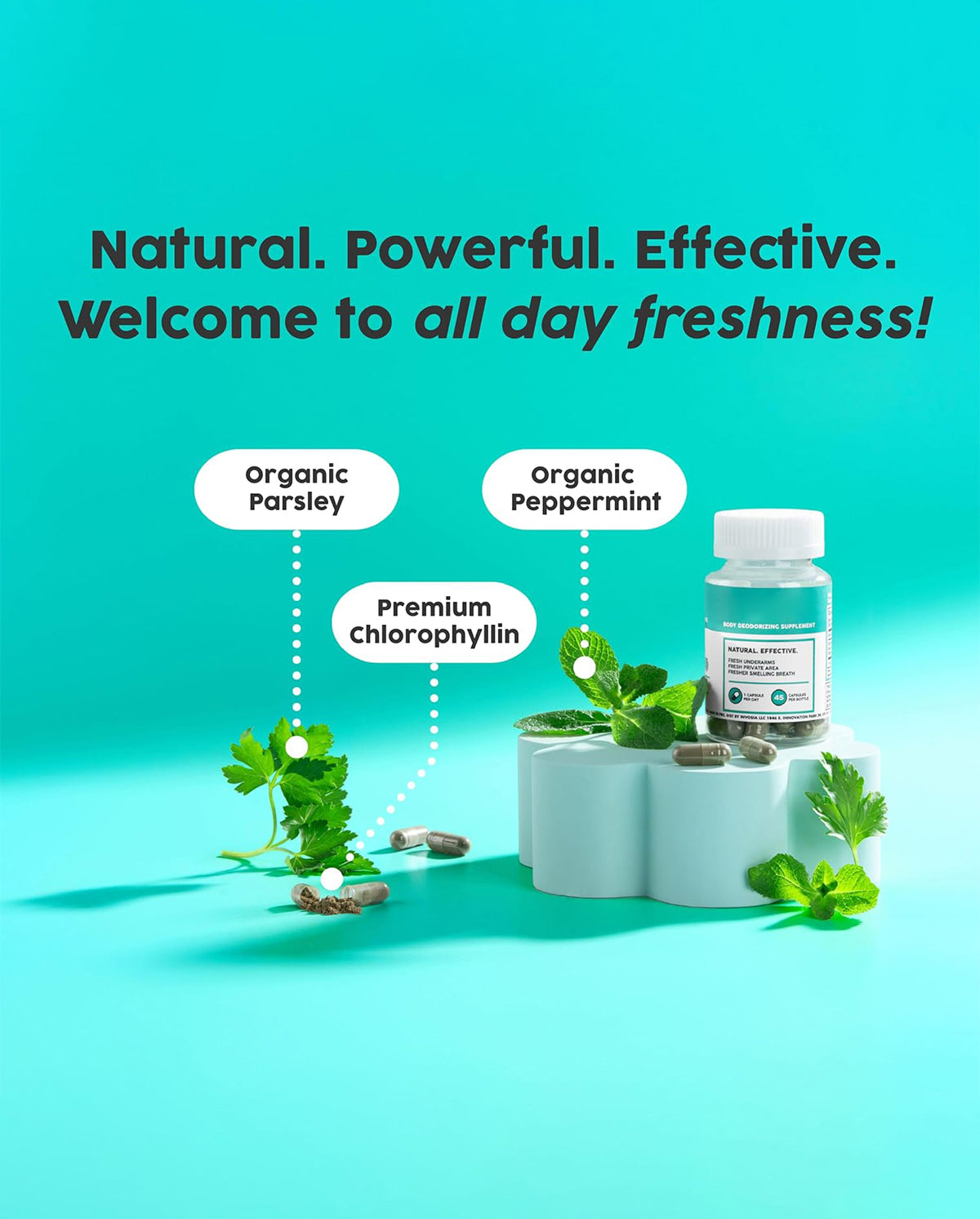 Internal Deodorant Supplement – Full Body Deodorizer