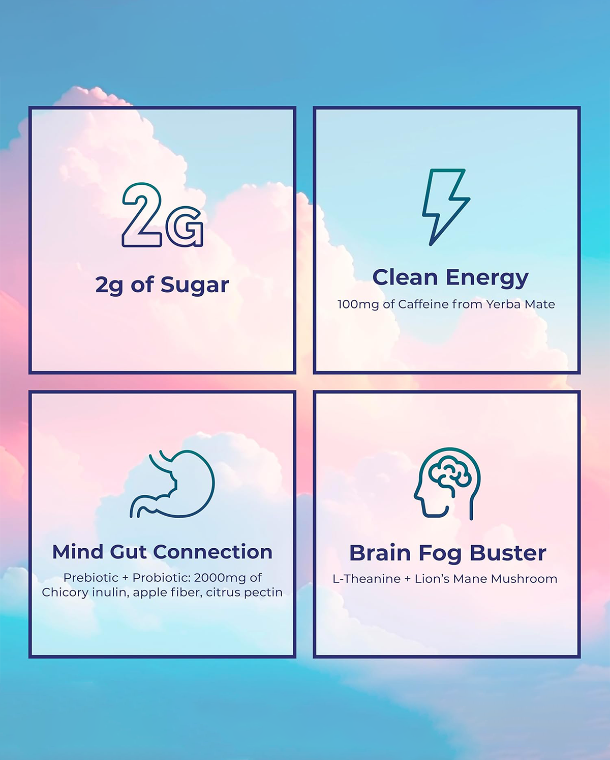 Yerba Mate Tea Powder – Natural Daily Energy & Wellness Support