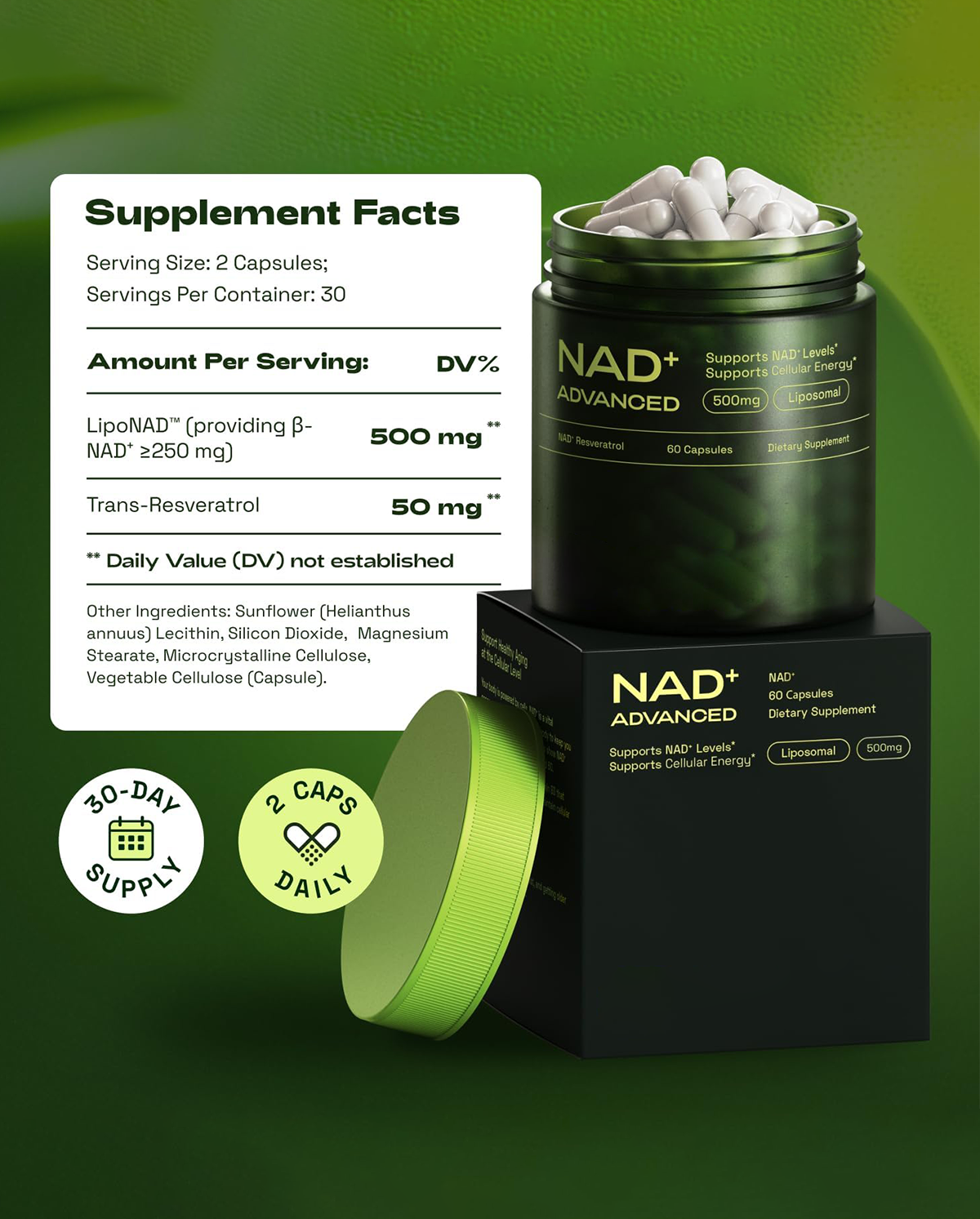 Liposomal NAD plus with Resveratrol