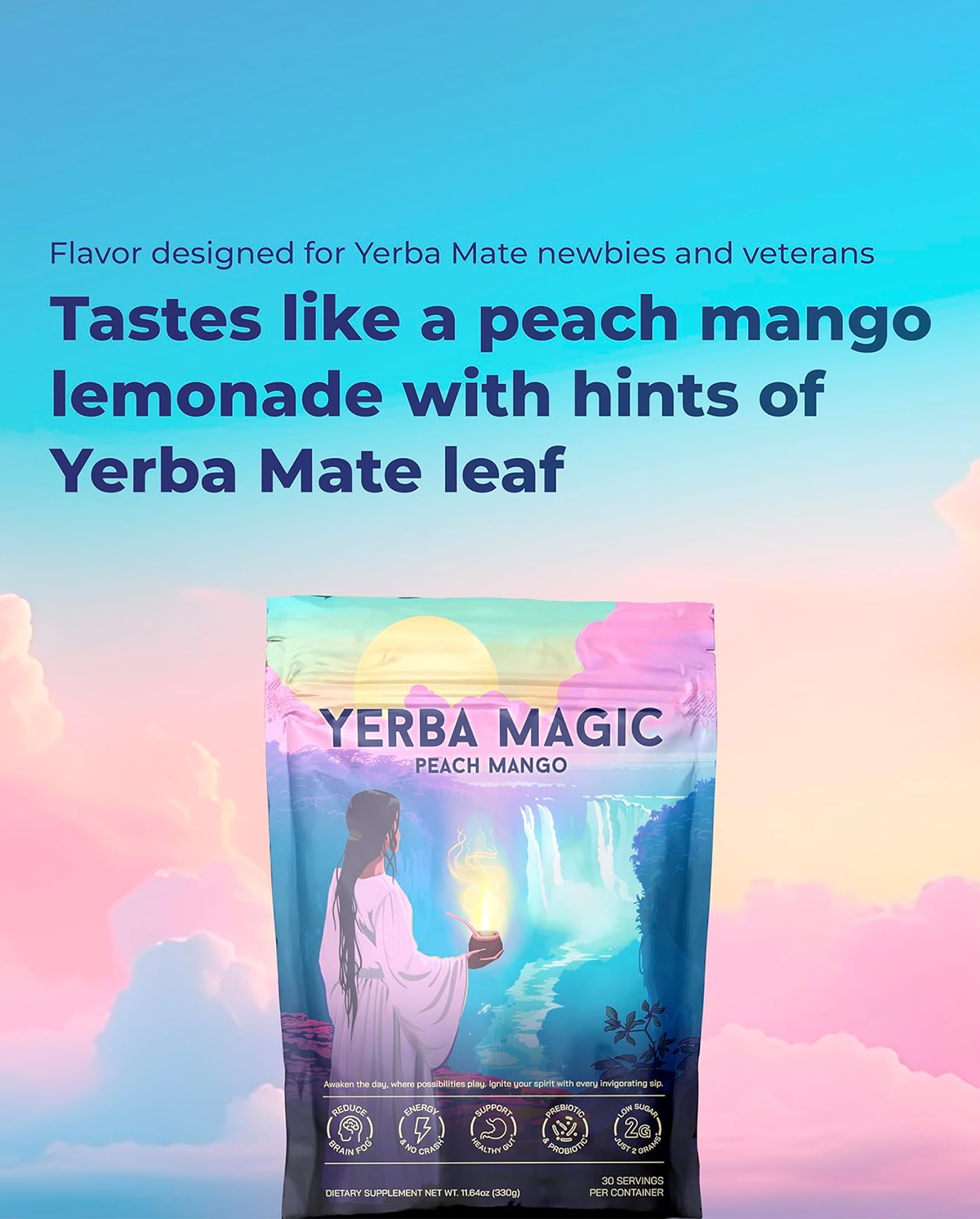 Yerba Mate Tea Powder – Natural Daily Energy & Wellness Support