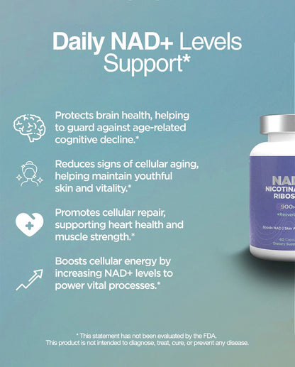 Nicotinamide Riboside (NR) Formula – Supports Energy Metabolism & Cellular Health