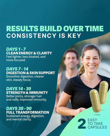 Moringa Capsules – Pure Moringa Leaf Powder for Daily Wellness & Vitality