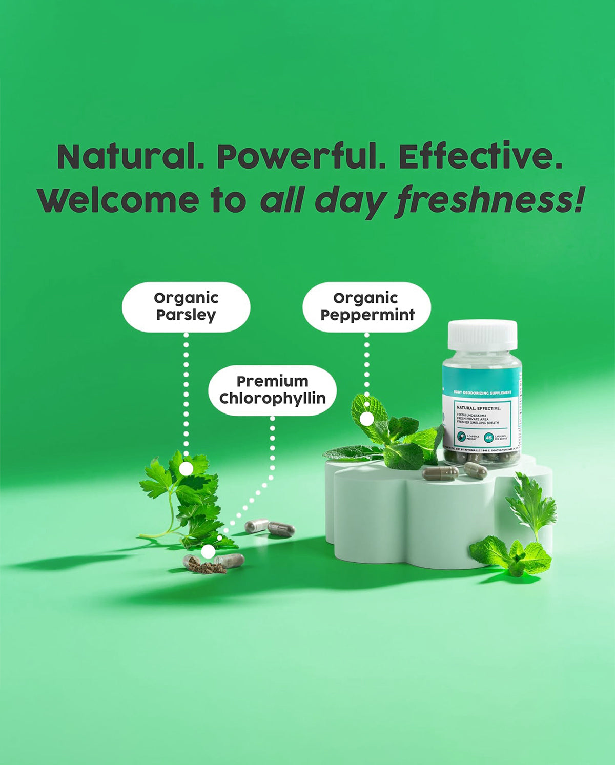 Internal Deodorant Supplement – Chlorophyll & Natural Botanicals for Daily Wellness