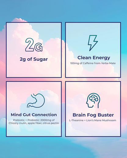 Yerba Mate Tea Powder – Natural Daily Energy & Wellness Support