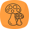 icon-2
