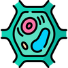 icon-1