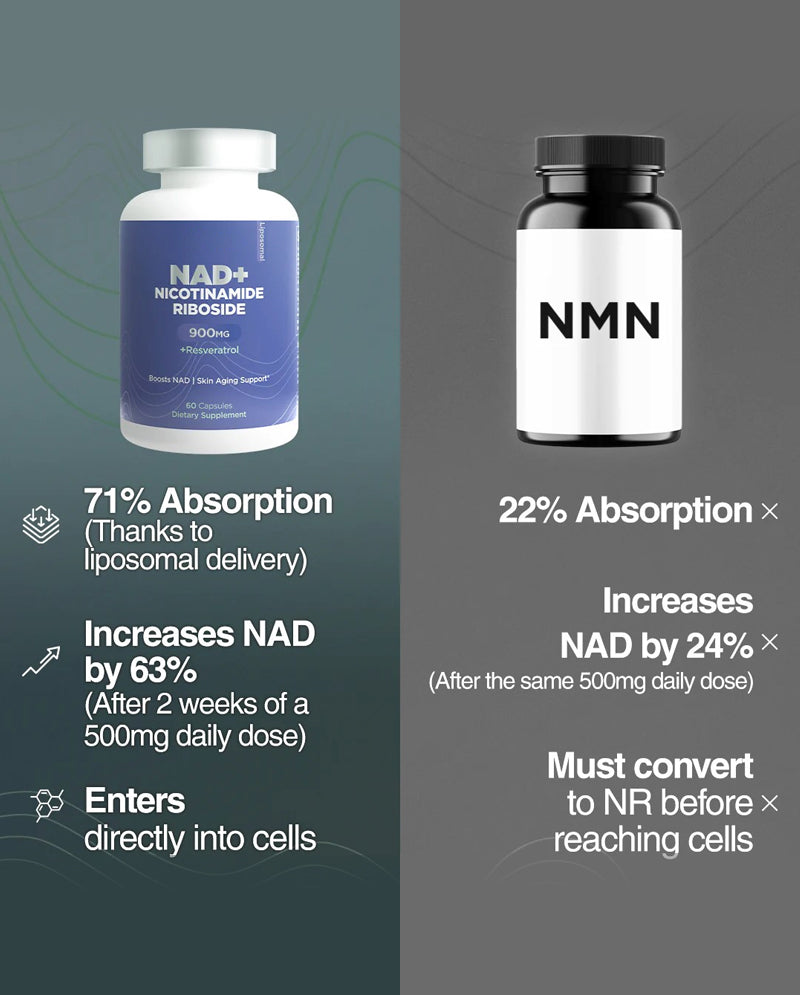 Nicotinamide Riboside (NR) Formula – Supports Energy Metabolism & Cellular Health